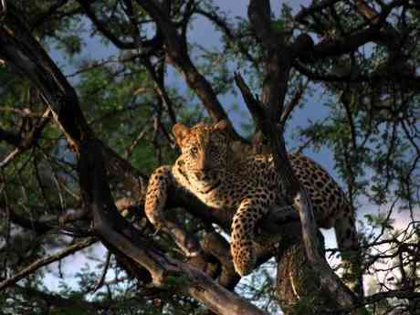 Luxury Kalahari Desert Expedition